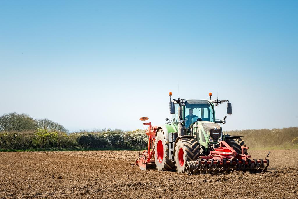 Вілла Cargurra Farm Боскасл Екстер'єр фото